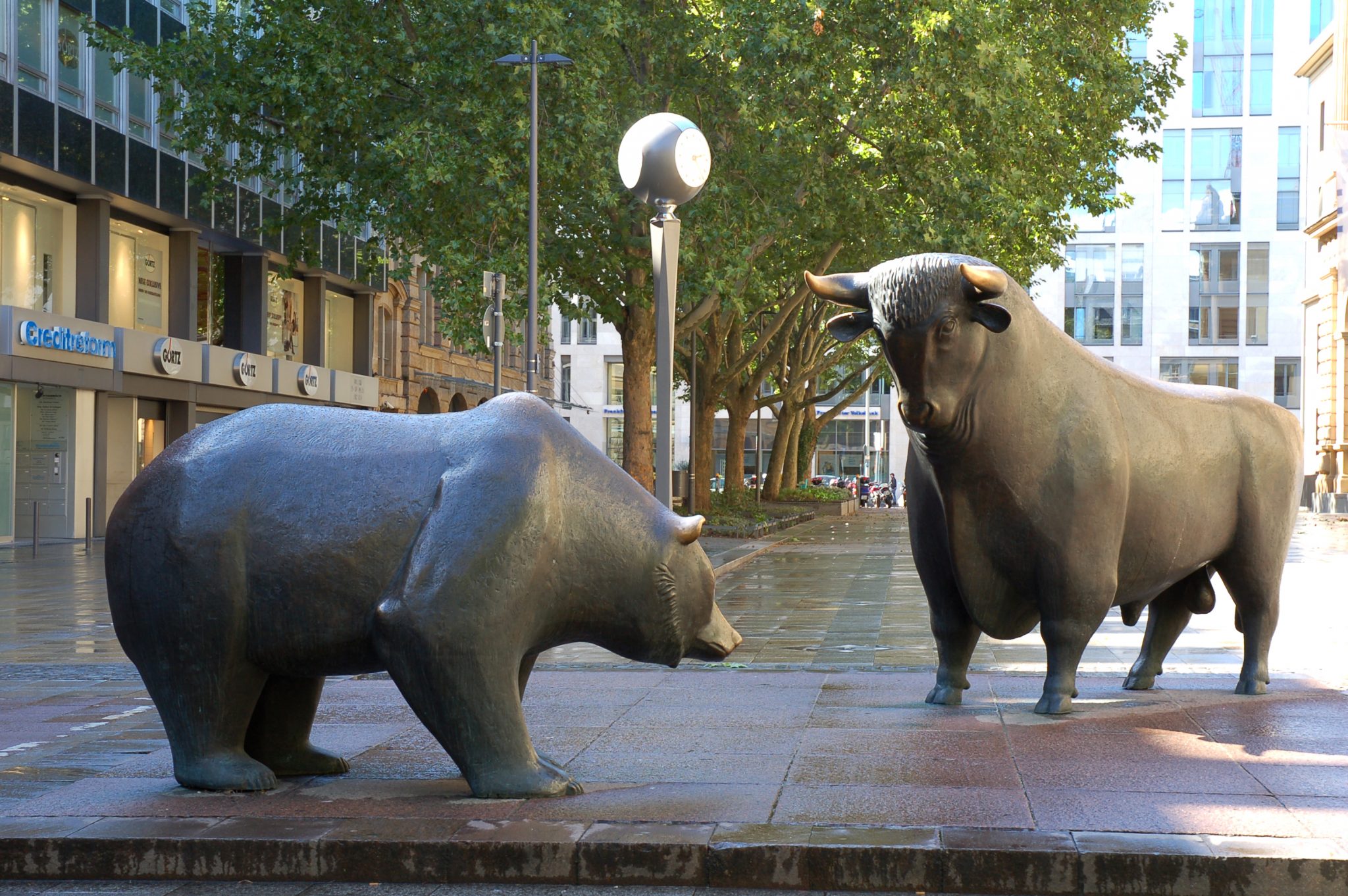 stock market bear